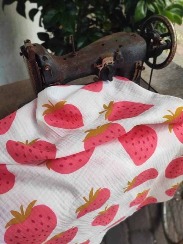 Stoffwechsel Meterweise | CoGauStrawb